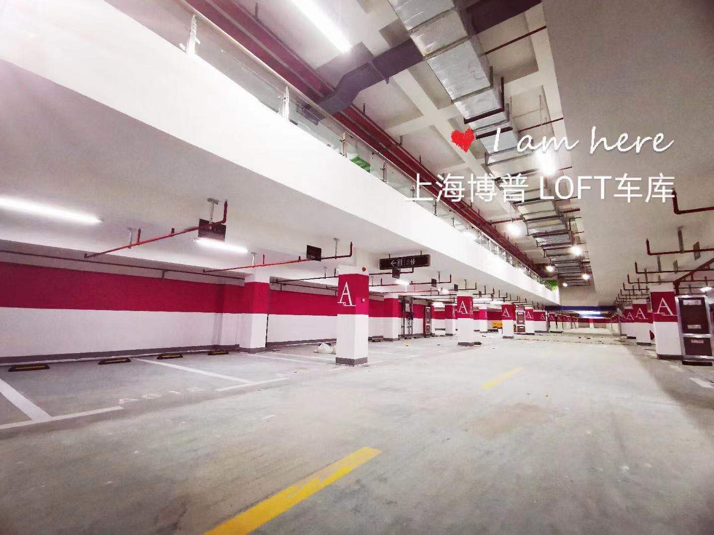 沙坪坝LOFT车库“肤白、貌美、大长腿”实锤!